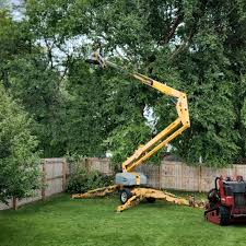 Best Tree Disease Treatment  in Brinckerhoff, NY