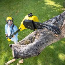 Best Aeration Services  in Brinckerhoff, NY