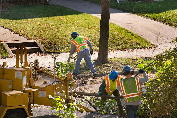 Best Lawn Irrigation Installation and Maintenance  in Brinckerhoff, NY