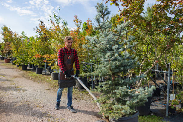 Lawn Maintenance Plans in Brinckerhoff, NY